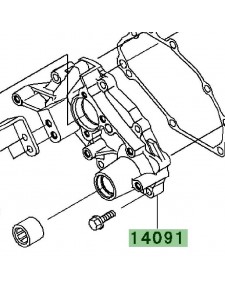 Carter de transmission | Kawasaki W800 (2011-2016)