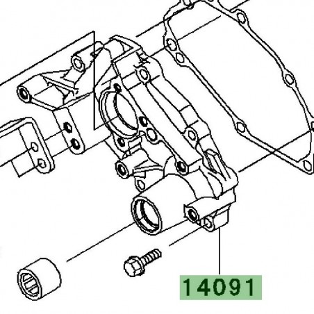 Carter de transmission | Kawasaki W800 (2011-2016)