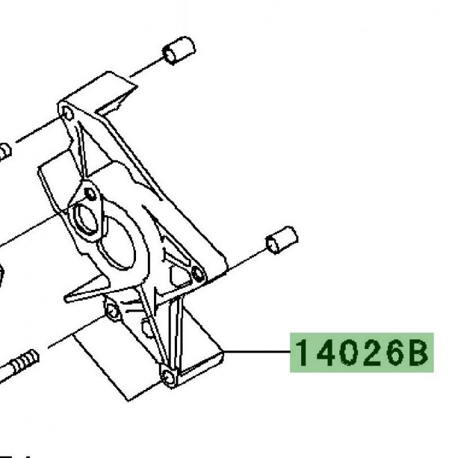 Protection carter PSB | Kawasaki W800 (2011-2016)