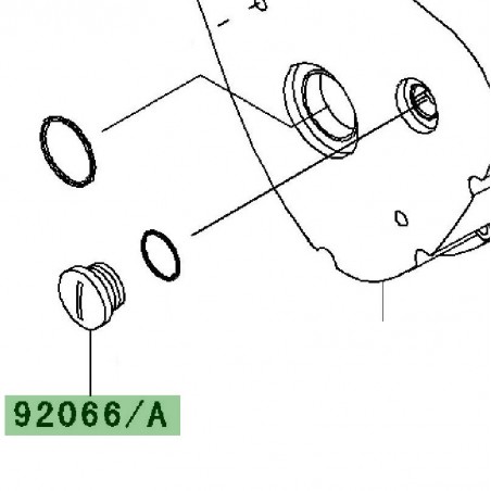 Bouchon carter d'alternateur | Kawasaki W800 (2011-2016)