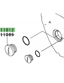 Capuchon carter d'alternateur | Kawasaki W800 (2011-2016)