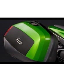 Enjoliveurs peints pour valises latérales Kawasaki Er-6n (2012-2016)