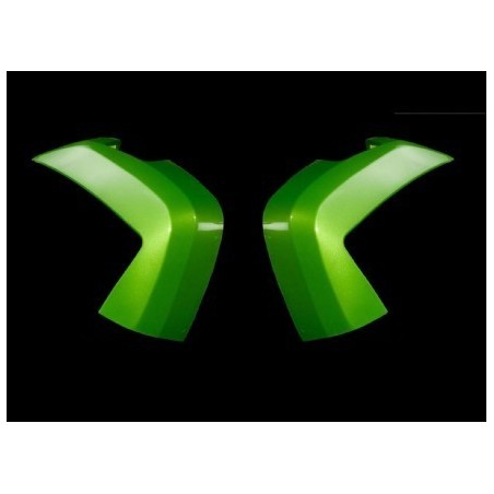 Enjoliveurs peints pour valises latérales Kawasaki Er-6n (2012-2016)