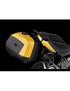 Enjoliveurs peints pour valises latérales Kawasaki Er-6n (2012-2016)