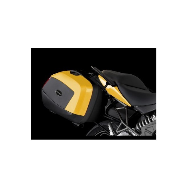 Enjoliveurs peints pour valises latérales Kawasaki Er-6n (2012-2016)