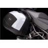 Enjoliveurs peints pour valises latérales Kawasaki Er-6n (2012-2016)