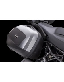 Enjoliveurs peints pour valises latérales Kawasaki Er-6n (2012-2016)