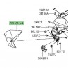 Carénage tête de fourche Kawasaki Z800 (2013-2016)