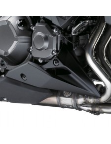 Sabot moteur Kawasaki Z800e (2013-2016)