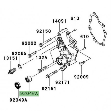 Roulement à aiguilles carter de transmission Kawasaki Versys 650 (2007-2009) | Réf. 920461148