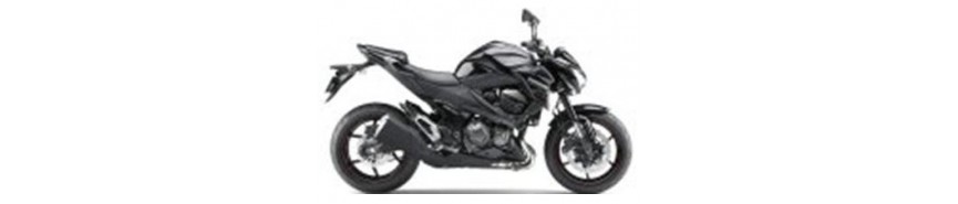 Noir 2013 Z800e Carénages
