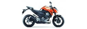 Orange 2013 Z800e Carénages