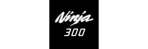 Ninja 300