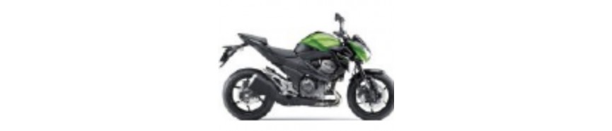 Vert 2014 Z800e Carénages