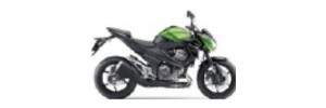 Vert 2014 Z800e Carénages