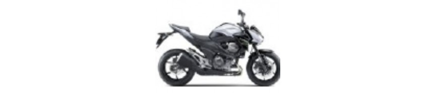 Blanc 2014 Z800e Carénages
