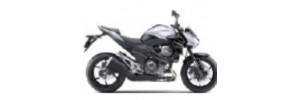 Blanc 2014 Z800e Carénages