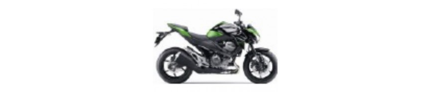 Vert 2015 Z800e Carénages