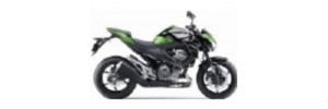 Vert 2015 Z800e Carénages