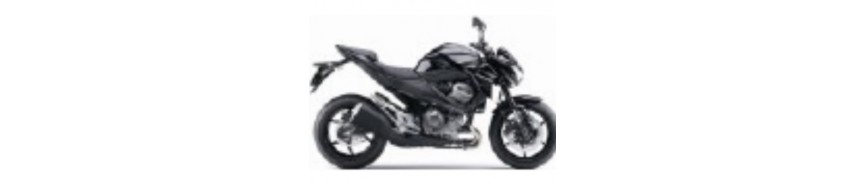 Noir 2015 Z800e Carénages