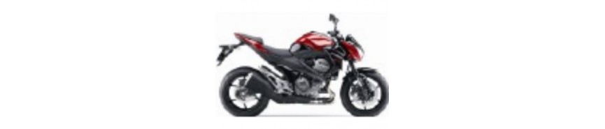 Rouge 2015 Z800e Carénages