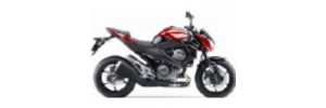 Rouge 2015 Z800e Carénages