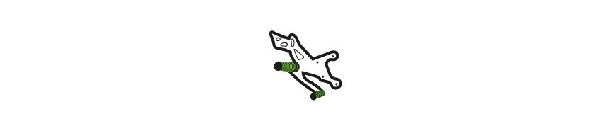 Commandes & Repose-pieds Ninja 300