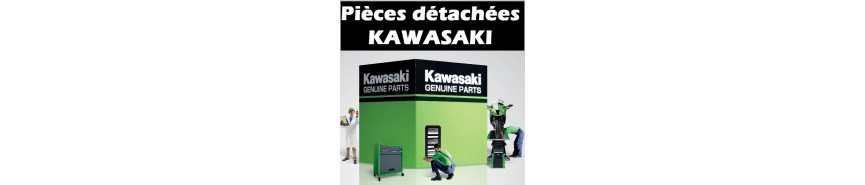  Pièces Vulcan S (2015-2021)