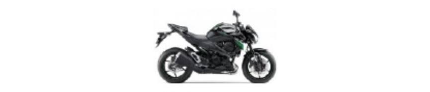 Noir 2016 Z800e Carénages