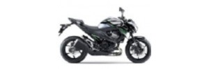 Blanc 2016 Z800e Carénages