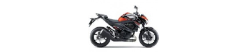 Orange 2016 Z800e Carénages