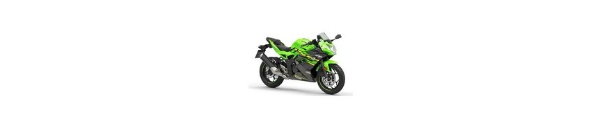 Ninja 125 (2019-2026)