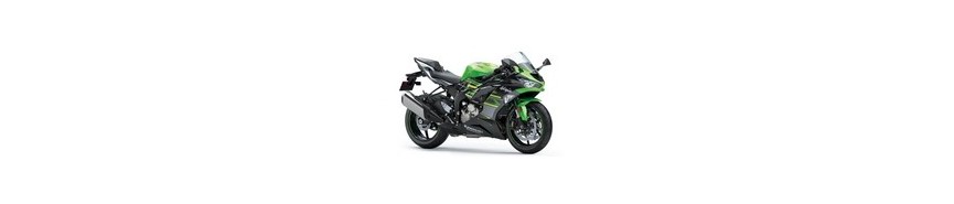 Ninja ZX-6R (2019-2020)