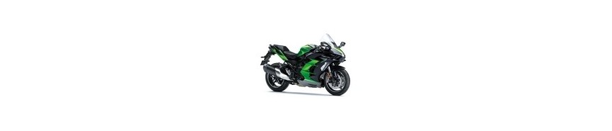 Ninja H2 SX (2022-2025)