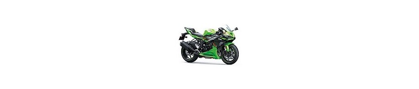 Ninja ZX-6R (2024-2025)