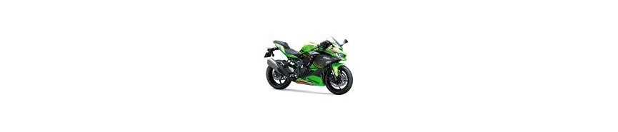 Ninja ZX-4R (RR) (2024-2025)