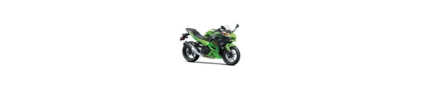 Ninja 500 (2024-2025)