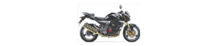 Z1000 (2003-2006)